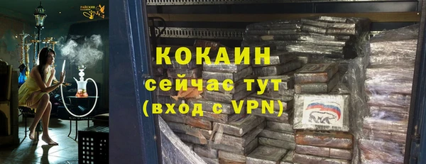 ешки Арсеньев