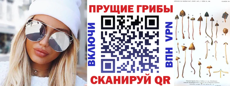Псилоцибиновые грибы прущие грибы  Темрюк 